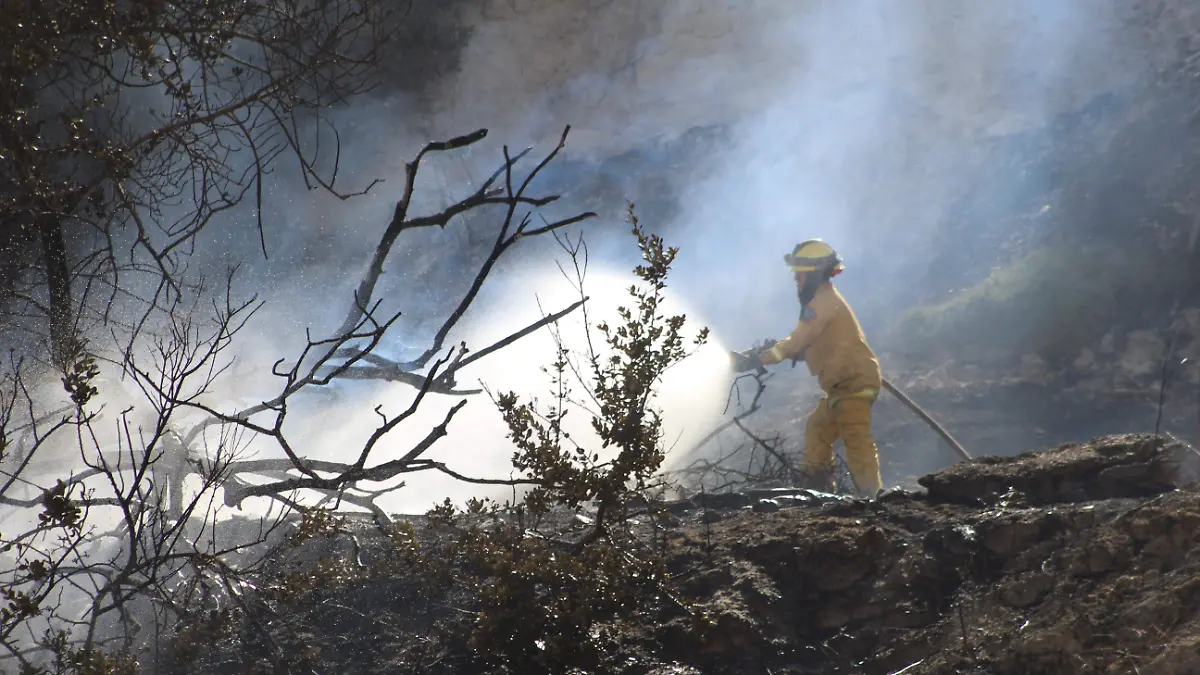 91 AG INCENDIO CERRO